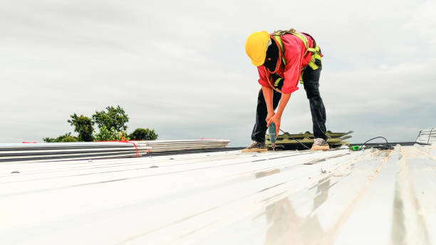 Best Rubber Roofing (EPDM, TPO)  in Clarksburg, MD